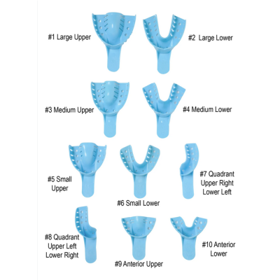 Starryshine 12 PC #3 Medium Upper Dental